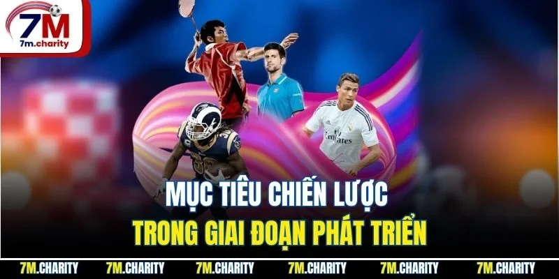 Mục tiêu chiến lược trong giai đoạn phát triển